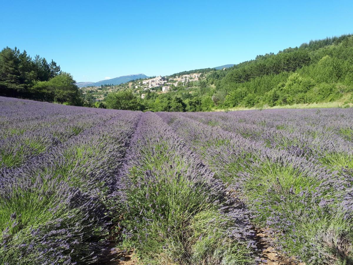 Holiday home Dentelles